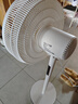 海爾（Haier）電風(fēng)扇落地扇家用定時(shí)遙控風(fēng)扇大風(fēng)力臺扇立式節能搖頭穩固底盤(pán)電扇辦公臥室宿舍循環(huán)輕音七葉電扇 【遙控定時(shí)】7葉智能清新風(fēng)HFS-Y3046B 曬單實(shí)拍圖
