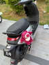 順越【九號(hào)—小牛】電摩裝飾品電摩摩托電動(dòng)車(chē)玩偶草莓熊裝飾玩偶擺件 草莓熊 拆拆款2.0(緊固防偷款) 曬單實(shí)拍圖