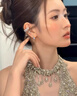 ONEVAN925銀針小碎鉆水滴耳釘女輕奢感氣質(zhì)耳環(huán)小眾耳飾耳釘2025年新款 小碎鉆水滴耳釘-s925銀針 曬單實拍圖