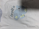 纖絲鳥(niǎo)男童短袖套裝兒童套裝T恤短褲兩件裝中小童帥氣衣服 云朵熱帶魚(yú) 曬單實(shí)拍圖