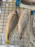 大黃魚東海大陳島黃花魚生態(tài)半野生深水養(yǎng)殖黃魚新鮮海捕冰鮮海鮮 0.7-0.9斤/條 2條裝 曬單實(shí)拍圖
