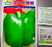 甜椒種子青椒菜椒燈籠椒辣椒種籽盆栽春天種蔬菜辣椒種子大全 甜椒種子【1包 約300?！?曬單實(shí)拍圖