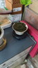 【四葉草鐵樹盆栽】年宵花?墨西哥鐵桌面微盆景掌上盆栽客廳幸運(yùn) 喚醒屋四葉草（8-12cm高）+底座 曬單實(shí)拍圖