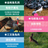 LEGENDSANDY藍氏貓零食罐頭高肉高營(yíng)養全價(jià)主食餐包貓飯混合口味50g*6包 曬單實(shí)拍圖