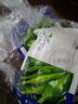 小海故事 有機壓縮海帶絲 16g*10片/盒 小圓餅高泡發(fā)免洗 源頭直發(fā) 曬單實(shí)拍圖
