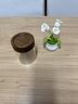 家の物語（KATEI STORY）日本玻璃茶葉罐食品級裝白茶陳皮密封罐茶盒裝茶容器儲存收納筒 曬單實拍圖
