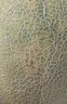 京鮮生 新疆哈密瓜/西州蜜 2粒裝 凈重5-7斤 單果2.5斤起 生鮮水果禮盒 曬單實拍圖