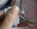 周六福（ZLF）  PT950鉑金吊墜女款彌勒佛掛墜送女友不含鏈 1.54g 曬單實拍圖