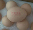 1號會員店One's Member葉黃素可生食標(biāo)準(zhǔn)鮮雞蛋 20枚 單枚55g 源頭直發(fā) 曬單實(shí)拍圖
