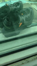 361°運動鞋男夏季戶外鏤空透氣釣魚涉水溯溪涼鞋子男672522255-4 曬單實拍圖