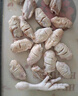 圣農(nóng)美廚雞翅中可樂雞翅清真食品小號翅中單只20~25g左右介意者慎拍 翅中4斤 曬單實拍圖