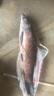 漁之源釣傘遮陽(yáng)釣魚(yú)傘帳篷戶(hù)外露營(yíng)傘折疊黑膠釣傘遮陽(yáng)天幕免搭建釣傘 2.6米【專(zhuān)利手杖+14棱8維防轉】米色 曬單實(shí)拍圖