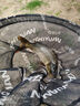 沃鼎王者神劍三代魚(yú)竿超輕綜合輕量大物竿鯽魚(yú)竿釣魚(yú)竿魚(yú)桿手竿臺釣竿 4.5m 【無(wú)畏大物 力量掌控】6.5H 曬單實(shí)拍圖