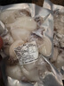 海鮮鮮活小墨魚(yú)烏賊八爪魚(yú)章魚(yú)魷魚(yú)新鮮墨魚(yú)仔生鮮 大號墨魚(yú)仔一斤 500克(凈重)  幾乎無(wú)冰 3斤 曬單實(shí)拍圖