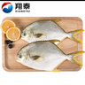 翔泰海南深海金鯧魚700g 2條 燒烤 火鍋 生鮮魚類 BAP認(rèn)證 海鮮水產(chǎn) 曬單實(shí)拍圖