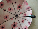 天堂 防紫外線陽傘三折 輕巧黑膠戶外遮陽太陽傘晴雨 銀蓮 曬單實(shí)拍圖