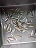 熊火靈汐小物釣魚竿迷你便攜溪流短節(jié)手竿釣鳑鲏魚竿套裝 1.8m46調(diào)落日橙小物竿+線組+餌料 曬單實拍圖