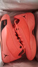耐克（NIKE）男子77東契奇場上輕盈抓地力透氣緩震運(yùn)動休閑經(jīng)典復(fù)刻籃球鞋 HF0819-800 42.5 曬單實(shí)拍圖