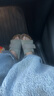 BIRKENSTOCK勃肯德國進口男女款牛皮絨面革Kyoto魔術貼單帶涼拖鞋 米色窄版1015573 37 曬單實拍圖