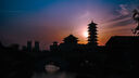 SAMYANG三陽森養(yǎng)三洋AF35mmF1.8 FE全畫幅自動對焦微單大光圈人像掃街鏡頭 AF 35mm F1.8  索尼FE卡口 官方標(biāo)配 曬單實(shí)拍圖