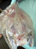 開背免處理清江 烤魚必備 三去開背叉尾鮰魚 肉質(zhì)肥嫩 三去開背叉尾鮰魚700g-900g/條 1條裝 曬單實(shí)拍圖