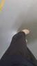 FitonTon褲子夏季女新款彎刀褲冰絲薄款直筒寬松休閑速干山本闊腿褲女 曬單實拍圖