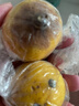 當季新鮮安岳黃檸檬新鮮薄皮奶茶店專用 2粒裝（單果50-70） 曬單實拍圖
