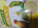 寵物樂開心包鳥糧新黃谷子中小型鸚鵡飼料鳥食帶殼小米虎皮玄鳳牡丹食物5斤H 寵樂園谷子5斤 曬單實拍圖
