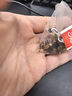 易卜生肉蓯蓉淫羊藿巴戟天鎖陽黃精五味子菟絲子沙苑子山茱萸養(yǎng)生茶男士覆盆子枸杞桑葚泡水中藥材 男人十寶【肉蓯蓉鎖陽淫羊藿】45小包 曬單實拍圖