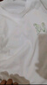 真維斯（Jeanswest）短袖t恤女新款版夏季純棉顯瘦遮肉百搭上衣薄荷綠高端夏裝衣服JR 杏8170 XL 175/96A 曬單實拍圖