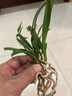 LeByclelebycle山地自行車碟剎來令片半金屬樹脂剎車片通用BB5碟剎器配件 28款~1對(duì)-（購4發(fā)6） 曬單實(shí)拍圖
