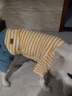 OEMG狗狗衣服薩摩耶衣服帥氣拉布拉多金毛夏季四腳衣中大型犬春秋薄款 經(jīng)典黃白條紋牛仔 18號(約19-28斤) 曬單實拍圖