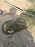 沃鼎王者神劍三代釣魚竿碳纖維超輕鯽魚竿大物竿魚桿臺(tái)釣竿5.4米 6.5H 曬單實(shí)拍圖