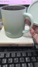 膳魔師（THERMOS）帶把手保溫杯TCDG-451咖啡杯辦公室簡約保冷泡茶水杯子JDG-352 JDG-452(GGR)450ml 曬單實拍圖