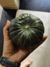 京鮮生 內(nèi)蒙精品貝貝南瓜凈重4.5斤單果300g+ 品種:貝栗 糖10°源頭直發(fā) 曬單實拍圖