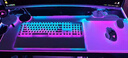 雷蛇（Razer）黑寡婦蜘蛛V4專業(yè)版 機械鍵盤 游戲鍵盤 RGB背光 游戲電競 綠軸 帶RGB腕托 白色 曬單實拍圖