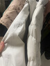 京東洗衣 洗衣服務(wù) 洗鞋服務(wù) 衣鞋任洗 上門(mén)取件 干洗水洗 洗衣服 刷鞋 網(wǎng)面/革面運(yùn)動(dòng)鞋/羽絨服等 衣鞋任洗3件 曬單實(shí)拍圖