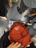 GREGORY格里高利 NANO蜂鳥 男女旅行戶外徒步背包登山包通勤雙肩背包18L 18L-火花橙 曬單實拍圖