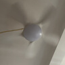 領(lǐng)王北歐風(fēng)扇燈新款吊扇燈客廳家用餐廳大風(fēng)力吸頂中山燈具全光譜臥室 白色46寸五葉-變頻-變光-遙控 曬單實(shí)拍圖