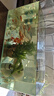 晶明水族客廳居家中小型魚(yú)缸透明熱彎超清玻璃一體金魚(yú)缸帶氧氣燈光造景 簡(jiǎn)易套餐長(cháng)50*寬26*高30cm 一件也發(fā)貨 曬單實(shí)拍圖