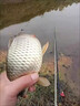 子母鉤子母魚鉤雙鉤跑鉛成品反鉤綁好線組新型防脫大魚大物防逃 神鉤熒光款【5號】 曬單實拍圖