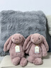 Jellycat致臻害羞羅莎維洛邦尼兔動(dòng)物毛絨玩偶安撫送禮娃娃生日禮物520 害羞羅莎邦尼兔 H31 X W12 CM 曬單實(shí)拍圖