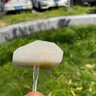 山姆伯伯秋月梨正宗萊陽(yáng)梨【多地次日達】新鮮梨子香雪梨水果禮盒中秋禮品 【超甜-甄選級】丨單果300-400g 5斤裝 【巨劃算-80%人買(mǎi)】?jì)?.5斤 曬單實(shí)拍圖