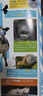 2025年小哥白尼野生動物4-6月第二季度雜志期刊打包發(fā)出共3期 6-15歲青少年科普期刊 曬單實拍圖
