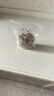 洽洽CHACHEER 生香有機(jī)核桃仁 1kg袋裝去殼兒童孕婦即食食堅(jiān)果 曬單實(shí)拍圖