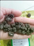 北京同仁堂500g貓爪草中藥材中草藥新鮮干貨野生水洗新貨貓抓草 貓爪草100g 貓爪草500克 曬單實(shí)拍圖