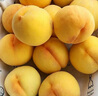 趣嘗鮮 蒙陰黃金蜜桃 凈重4.5斤 單枚150g起 新鮮毛桃 源頭直發(fā)一件包郵 曬單實(shí)拍圖