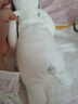澳貝（auby）嬰幼兒玩具小兔安撫巾寶寶哄睡神器阿貝貝新生兒毛絨手偶滿(mǎn)月禮物 曬單實(shí)拍圖