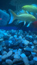 靚寵新款客廳家用防爆玻璃魚(yú)缸水族箱入戶玄關(guān)屏風(fēng)隔斷子彈頭金魚(yú)缸 灰色【一鍵排水+智能顯示屏】 長(zhǎng)80x寬40x高138cm 曬單實(shí)拍圖