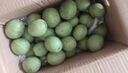 2025大涼山去青皮新鮮濕核桃薄殼孕婦零食非紙皮核桃應(yīng)季補(bǔ)腦鮮果 3斤 帶青皮核桃 曬單實(shí)拍圖